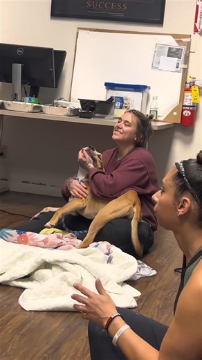 💚 $2 Tuesday: Meet Alastor Moody! When Animal Control picked him up, this 1.6-year-old sweetheart couldn’t even put weight on his injured leg. 💔 Thanks to our amazing clinic team, he’s healing up and feeling so much better! Now, Alastor Moody is ready for a foster or forever home where he can finish recovering surrounded by love. He’s gentle, sweet, and might even enjoy having dog friends with proper introductions. 🐾 Your $2 Tuesday donations make stories like his possible — every dollar goes