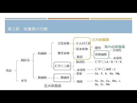 【製菓衛生師国家試験】栄養学第１章 栄養の意義・栄養素の分類