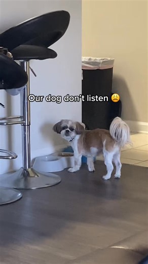 Chance Knows How to DO All These Things, He Just Don't Listen to Us 😂 | Mia Miah Live