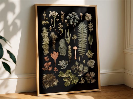 Forest Herbarium Botanical Poster, Moss and Plant Study Illustration, Natural History Wall Art - Etsy