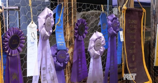 Youth Programs at State Fair