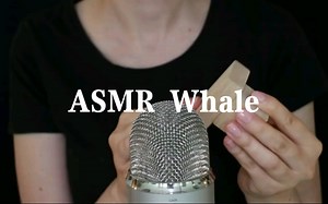 【Whale】快速而强烈的木块触发：摩擦+刮擦+轻敲（无人声）