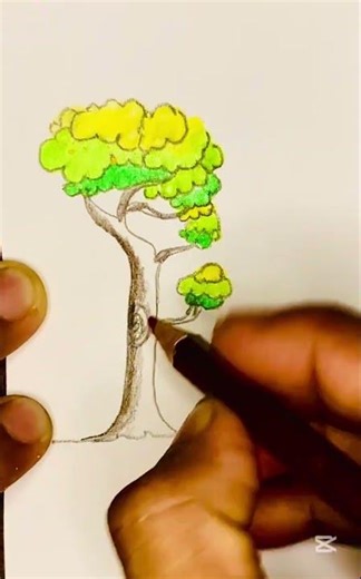 Easy Tree Scenery drawing 🌳 @ Color pencils drawing
