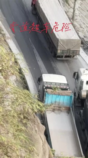 cute.animals (@cute.animals388)’s videos with Originalton - funnyvideos