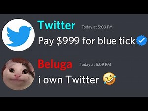 If Beluga Owns Twitter... (FULL STORY)