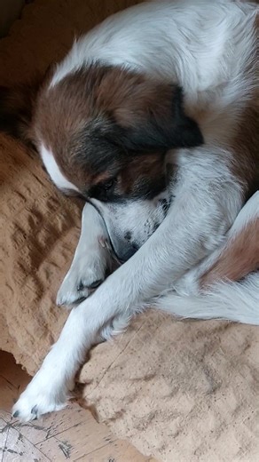 To bi (@tobi01092020)’s videos with original sound