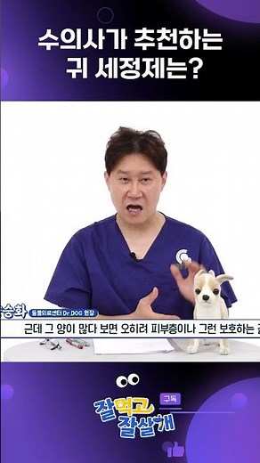 [잘먹고잘살개] 수의사가 추천하는 강아지 귀 세정제 #외이염 #강아지 #애견