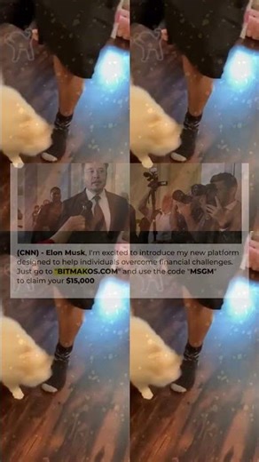 BEST DANK CAT MEMES COMPILATION OF 2020 PART 13 from TikTok 393s