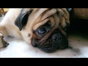 SIMBA's Emotional Video Can Make You Cry !!!