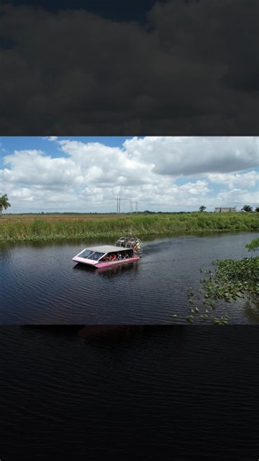 5.2K views · 77 reactions | Nothing beats the thrill of a real...