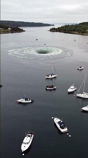 Giant Saltstraumen maelstrom in action! #norway
