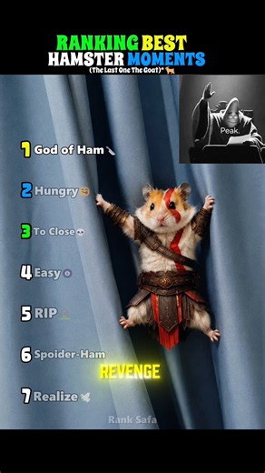 Ranking Best Hamster moments 😂