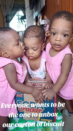 Exciting Biscuit Box Unboxing Challenge