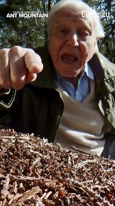 Black Friday is here! Get 1 year of Curiosity Stream and thousands of documentaries for $24. Stream smarter for less! | Curiosity Stream | Facebook