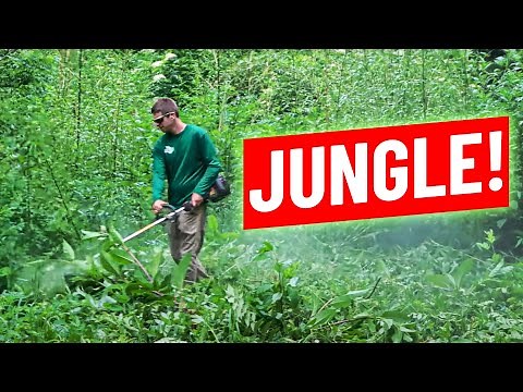 Weed Eater Dominating Crazy Tall Grass and Weeds