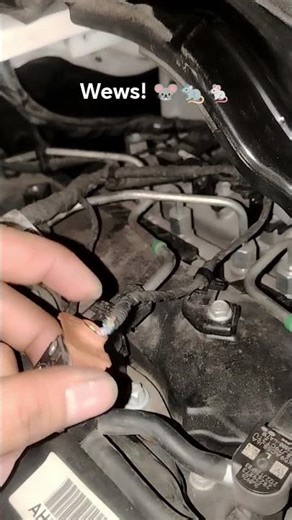 injector socket connector damaged by rat. oh no! #viral #automobile #mechanic