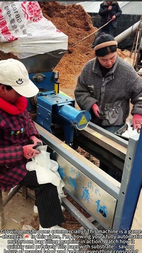 Auto Mushroom Bag Filler: Fast & Efficient Farming! 🍄⚙️