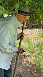 181K views · 4K reactions | Nea Leon la coasă – meșteșugul care nu moare #romania | Hovrea Alin | Facebook