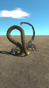 Emperor Scorpion vs Anaconda | The Burner Guy