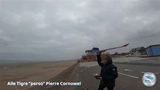 l aile volante tigrée de Pierre en vol de digue à la plage #ailevolante #rc #avionrc #depron