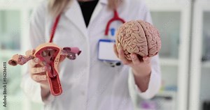Doctor explains influence of brain on reproductive function