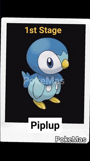 Evolution of Piplup|#20|PokeMas| #pokemon