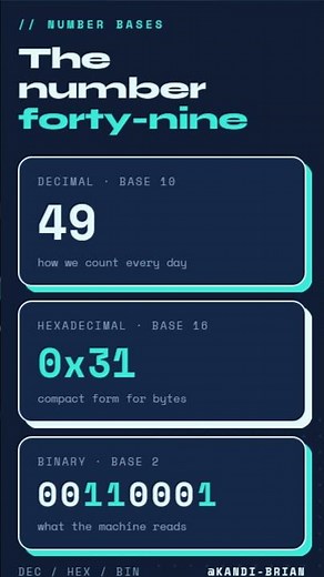 Number Forty Nine in Binary, Hexadecimal, and Decimal