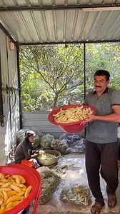 Uncle And Aunty Making Fresh Banana Chips | Namaste India