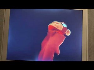 Baby Shakespeare Jane’s First Snowfall (1999) (Better Version)