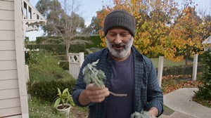 Vasili demonstrates a simple way to propagate cuttings and a trial to see which works better as a root stimulant; the honey or the rootex gel? Maresi! | Vasili's