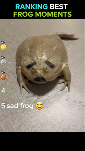 Frogs That Look AI Generated 😭