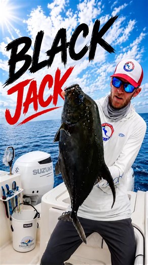 Panamá Black Jack ♠️ Can confirm yet another species here in Panama.