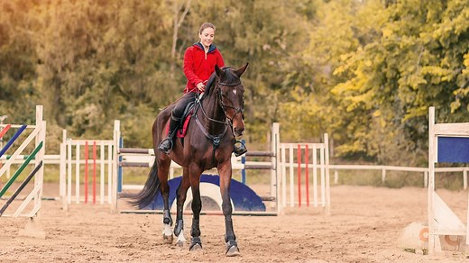 Basic Horse Riding Commands - Hand, Voice, And Body Cues