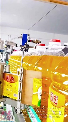 Industrial automatic labeling line