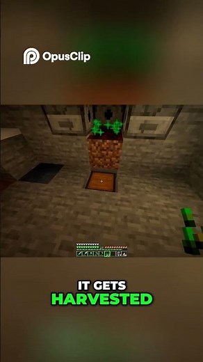 Easy Automatic Wheat Farm in Minecraft Updated Design! #minecraft #minecraftshorts #gaming