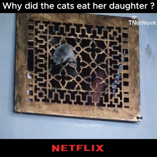 Top movie on netflix 2025 | Extreme Muscle Cars