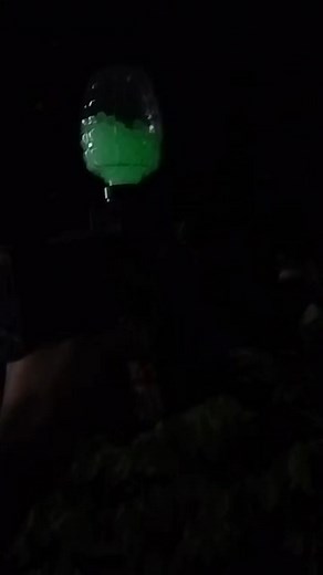 Glow in the Dark Orbeez Blaster Toy for Kids