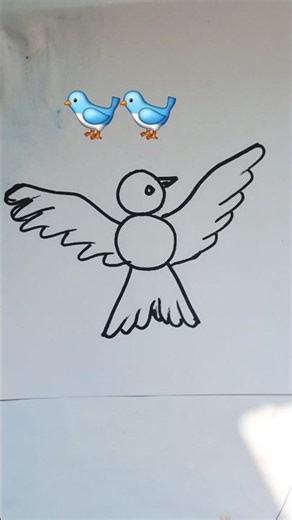 How to draw birds #art #birds #bird #drawing #draw