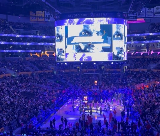 Brad Williams on Reels