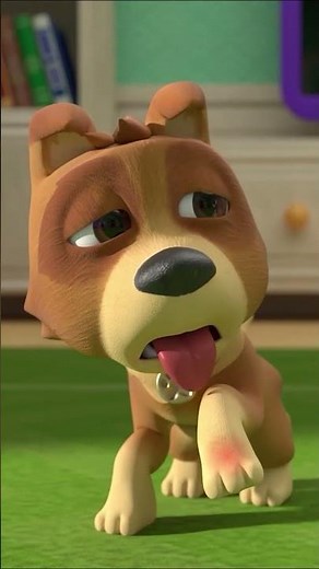 Bingo (Baby's First Pet) | Newborn Nursery Rhymes & Kids Songs