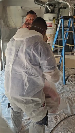 sky blue restorations inc. (@sky.blue.restorat)’s video of Cat Cafe