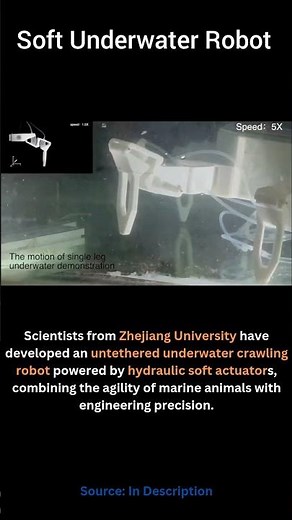 Soft Robot Crawls Underwater Like a Crab!