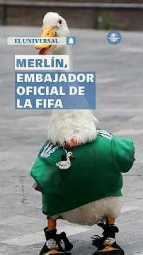 Merlín, el pato del Mundial, desata polémica al ser nombrado embajador oficial de la FIFA #Short