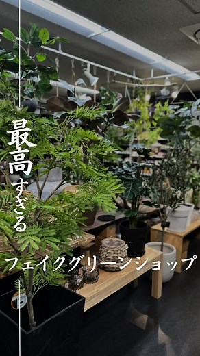 東京のフェイクグリーンショップ情報