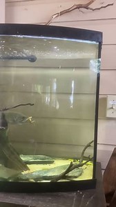 1.2M views · 4.9K reactions | These kids are gonna be HOOKED on BASS for life  ☠️! | Wired2Fish | Facebook