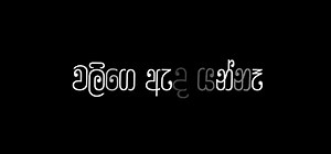 SHAN PUTHA X MADUWA - Jadi Mudi (Lyrics) [ජාඩි මූඩි] #black_lyrics3 #blacklyrics🖤🍃 #rap #status #lyrics #tiktok #video