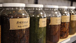 The Role of Alcohol in Herbalism - The School of Evolutionary Herbalism