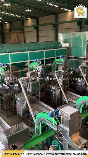Cashew Nut Processing Machine / Cashew Processing Plant / Cashew Shelling Machine #cashewprocessing