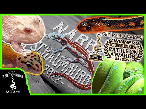 SCHAUMBURG NARBC REPTILE EXPO! (July, 2022)