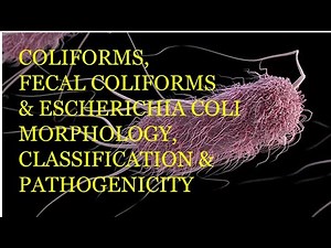 Coliforms, Faecal coliforms and Escherichia coli Morphology, Classification & Pathogenicity